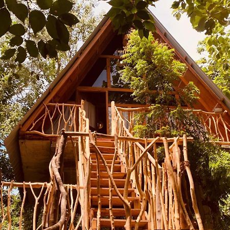 Angry Birds Tree House Daire Habarana Dış mekan fotoğraf