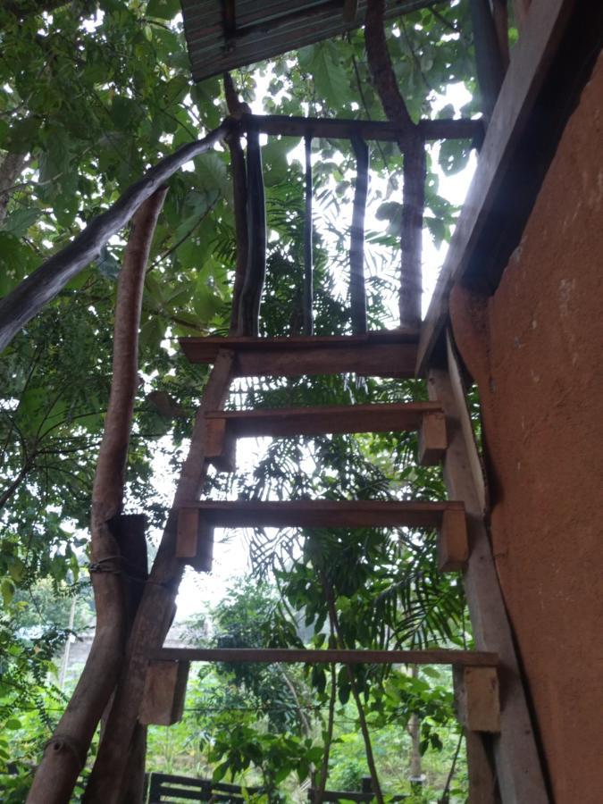 Angry Birds Tree House Daire Habarana Dış mekan fotoğraf