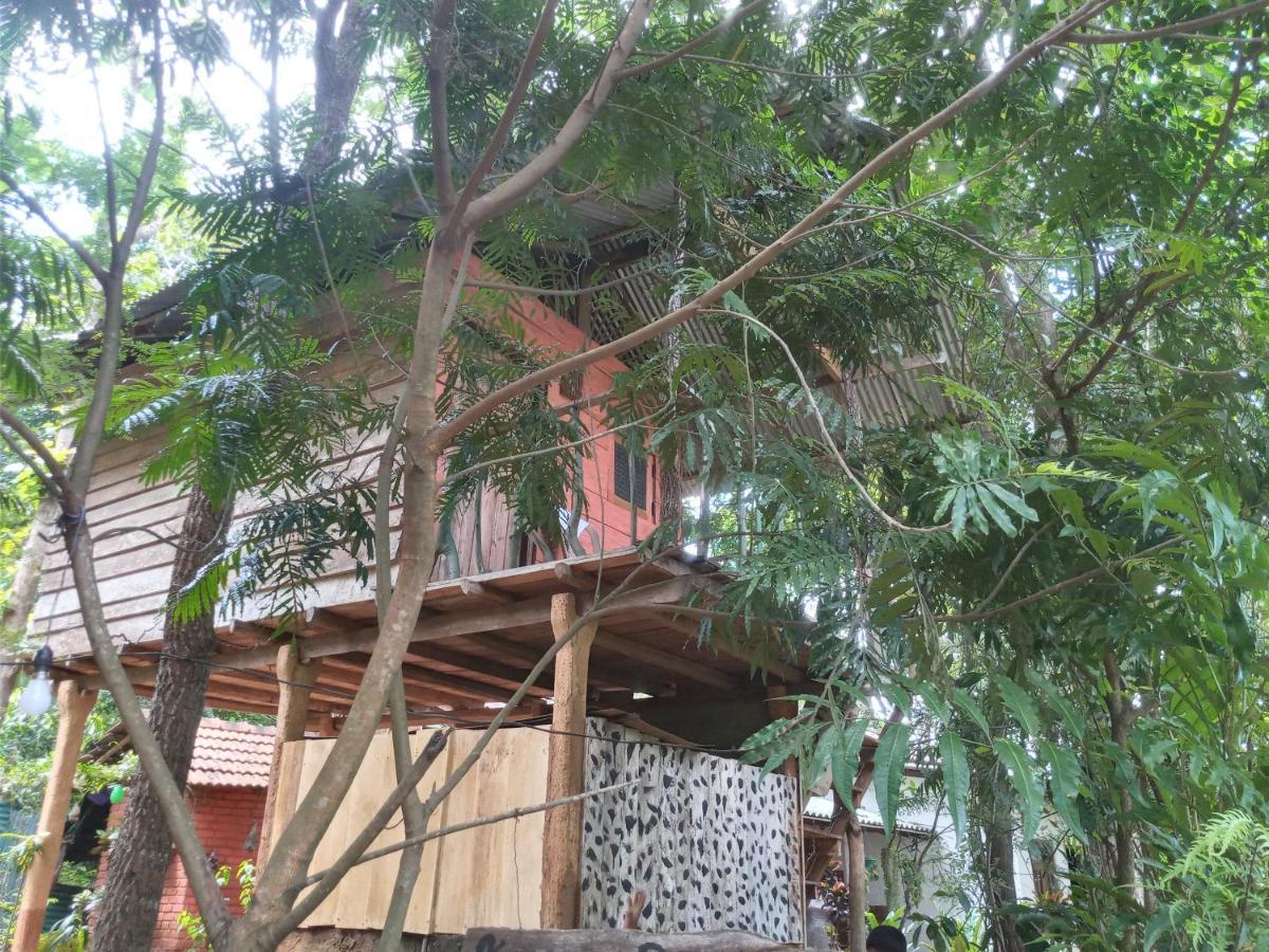Angry Birds Tree House Daire Habarana Dış mekan fotoğraf