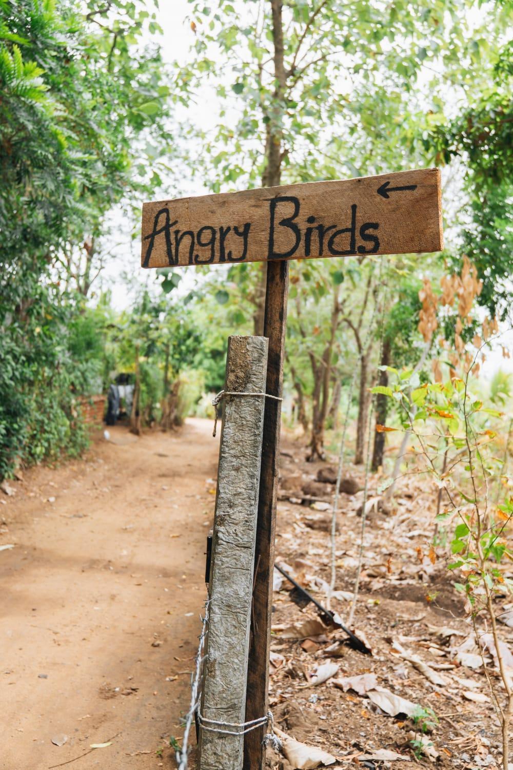 Angry Birds Tree House Daire Habarana Dış mekan fotoğraf