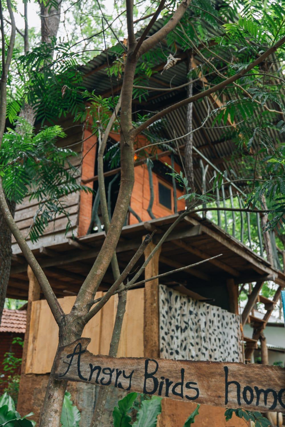Angry Birds Tree House Daire Habarana Dış mekan fotoğraf