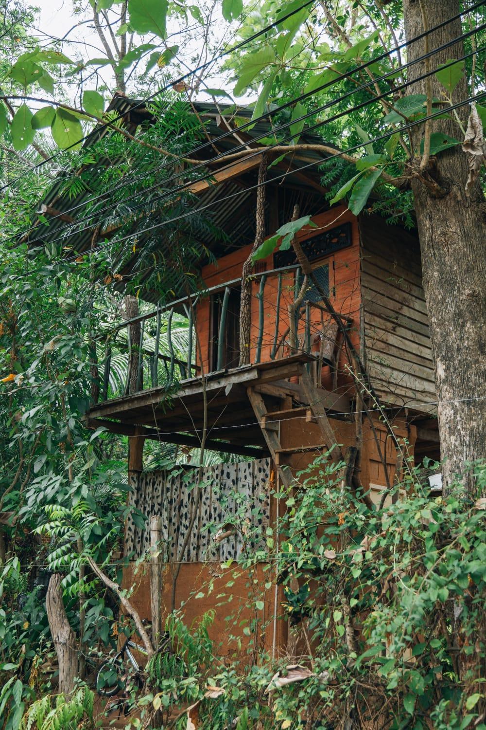 Angry Birds Tree House Daire Habarana Dış mekan fotoğraf