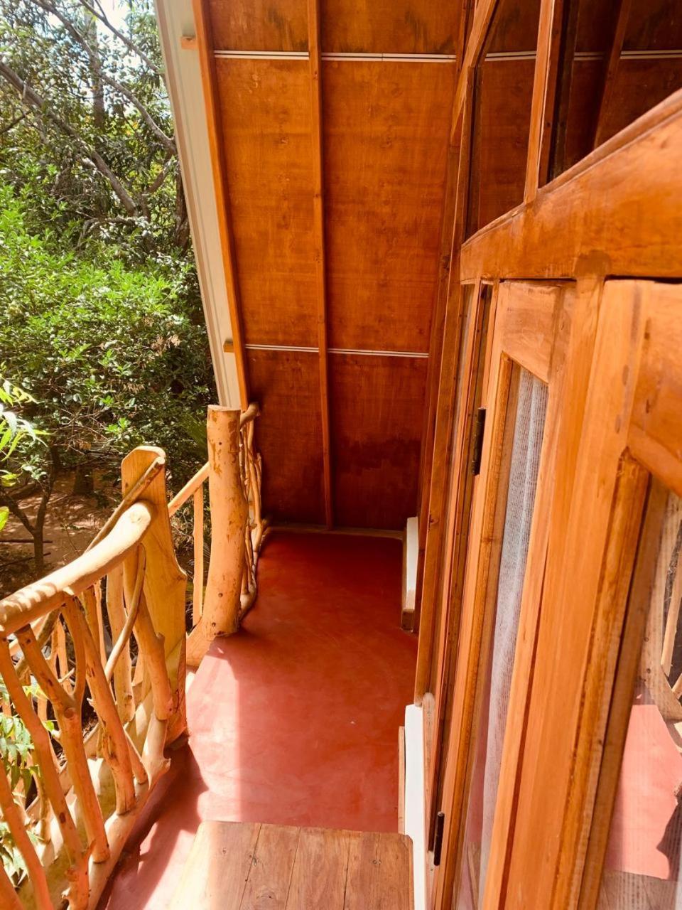 Angry Birds Tree House Daire Habarana Dış mekan fotoğraf