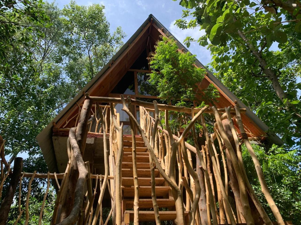 Angry Birds Tree House Daire Habarana Oda fotoğraf