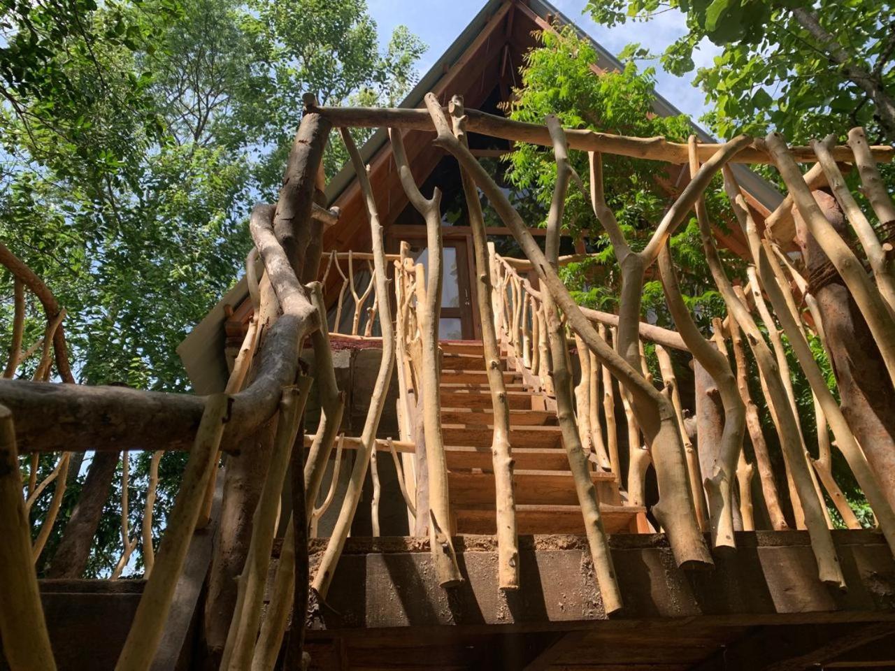 Angry Birds Tree House Daire Habarana Dış mekan fotoğraf