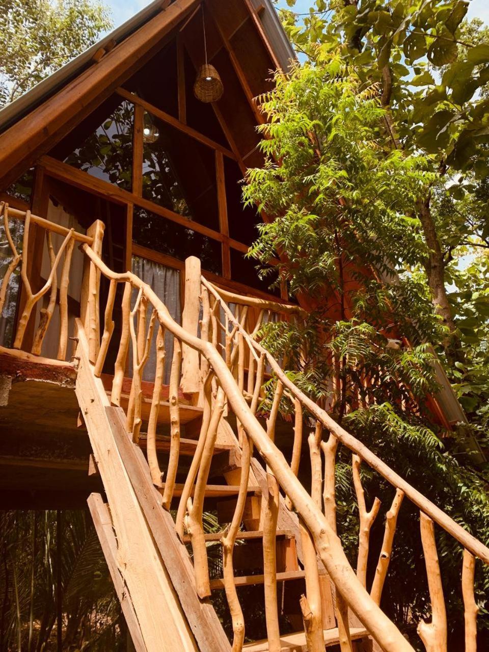 Angry Birds Tree House Daire Habarana Dış mekan fotoğraf