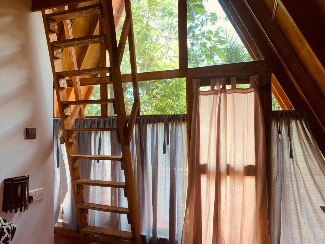 Angry Birds Tree House Daire Habarana Dış mekan fotoğraf