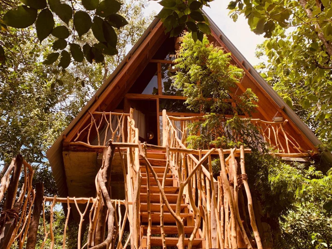 Angry Birds Tree House Daire Habarana Dış mekan fotoğraf