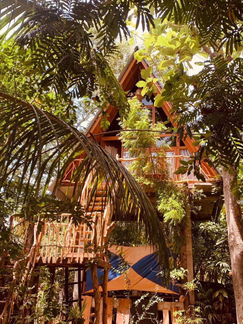 Angry Birds Tree House Daire Habarana Dış mekan fotoğraf