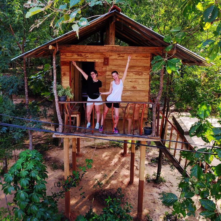 Angry Birds Tree House Daire Habarana Dış mekan fotoğraf