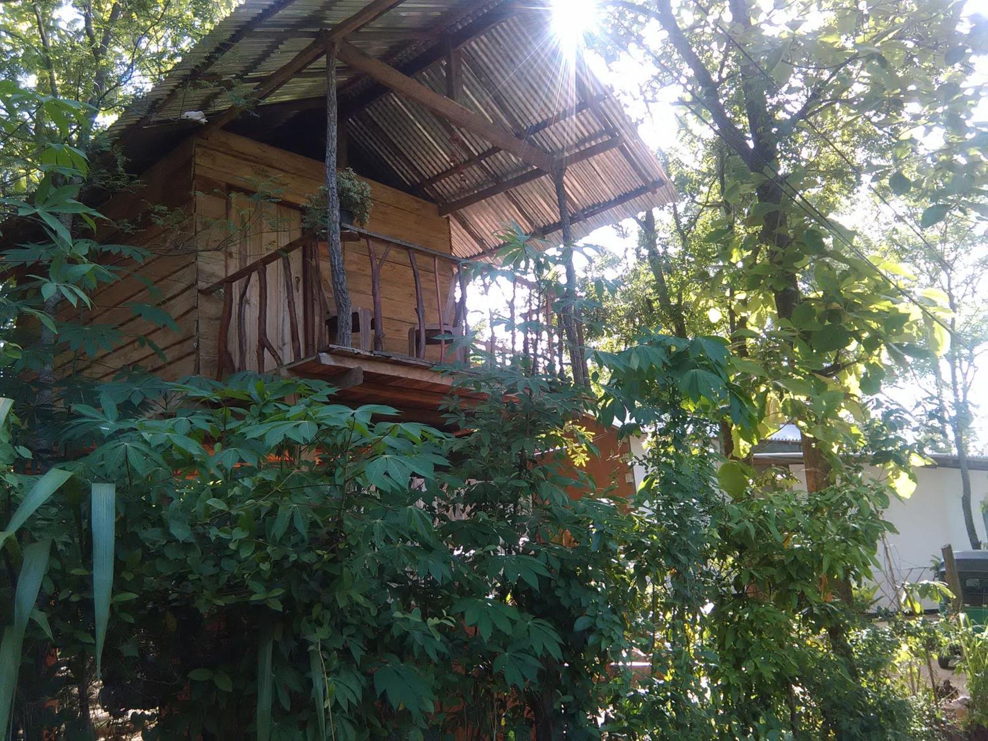 Angry Birds Tree House Daire Habarana Dış mekan fotoğraf