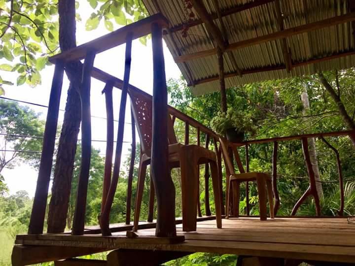 Angry Birds Tree House Daire Habarana Dış mekan fotoğraf