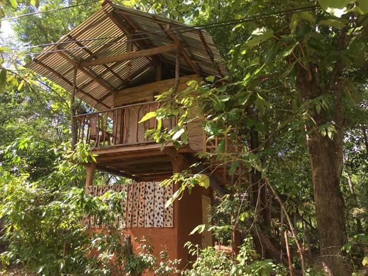 Angry Birds Tree House Daire Habarana Dış mekan fotoğraf