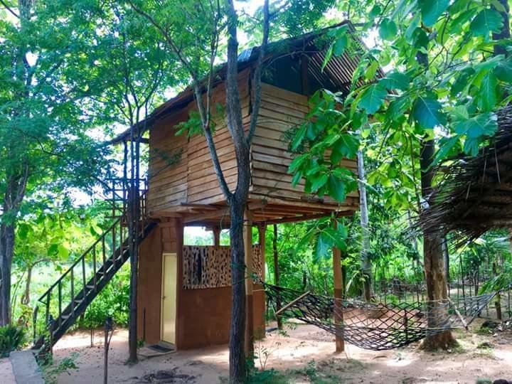 Angry Birds Tree House Daire Habarana Dış mekan fotoğraf