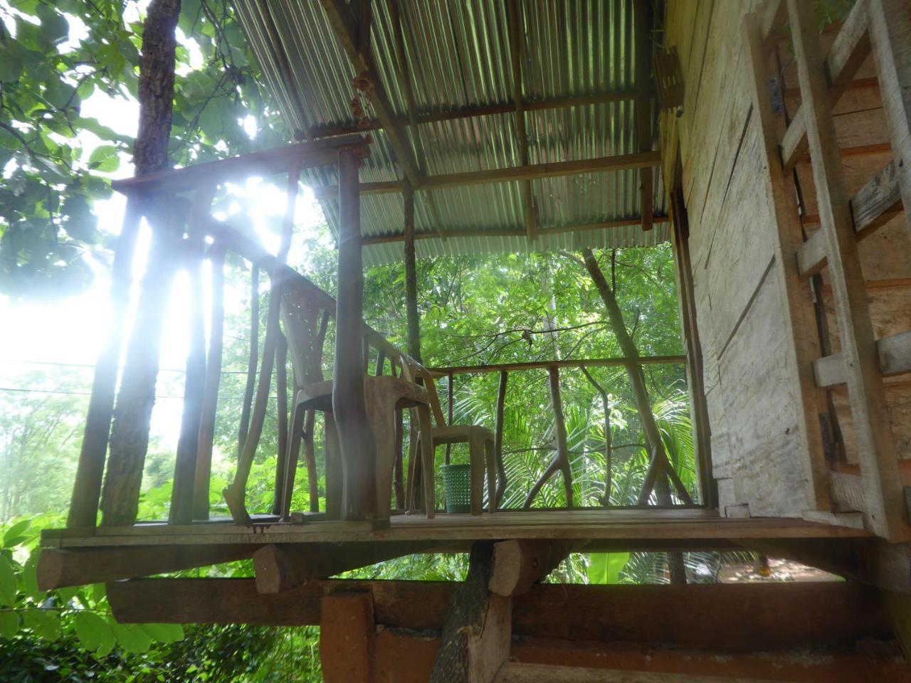 Angry Birds Tree House Daire Habarana Dış mekan fotoğraf