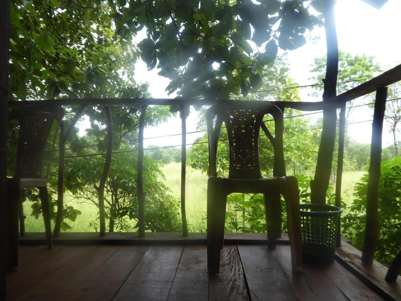 Angry Birds Tree House Daire Habarana Dış mekan fotoğraf